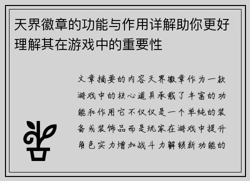 天界徽章的功能与作用详解助你更好理解其在游戏中的重要性